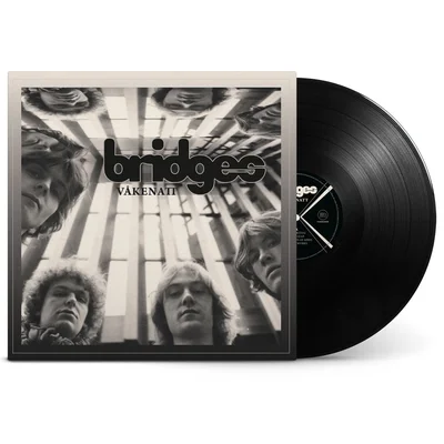 【輸入盤】V&aring;kenatt (1LP)