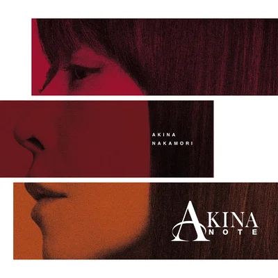 AKINA NOTE【2LP】