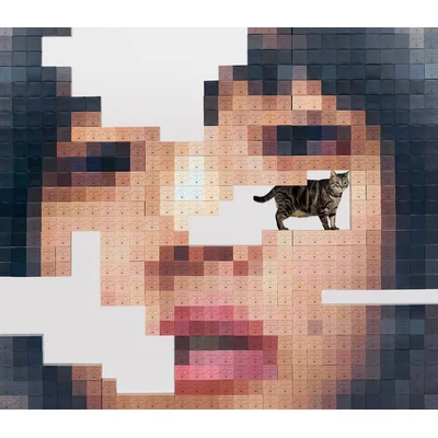 猫にジェラシー（初回限定Blu-ray盤）
