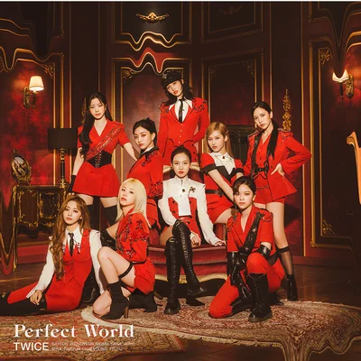 Perfect World（数量限定アナログ盤）